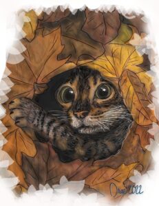 gatito