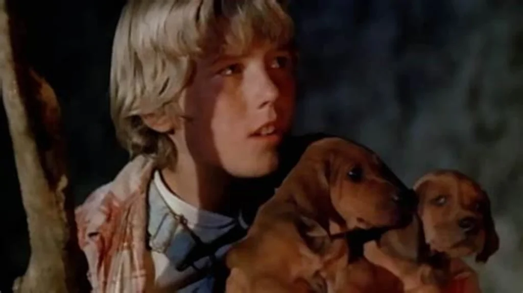 Imagen de Donde Crece el Helecho Rojo - películas donde muere el perro