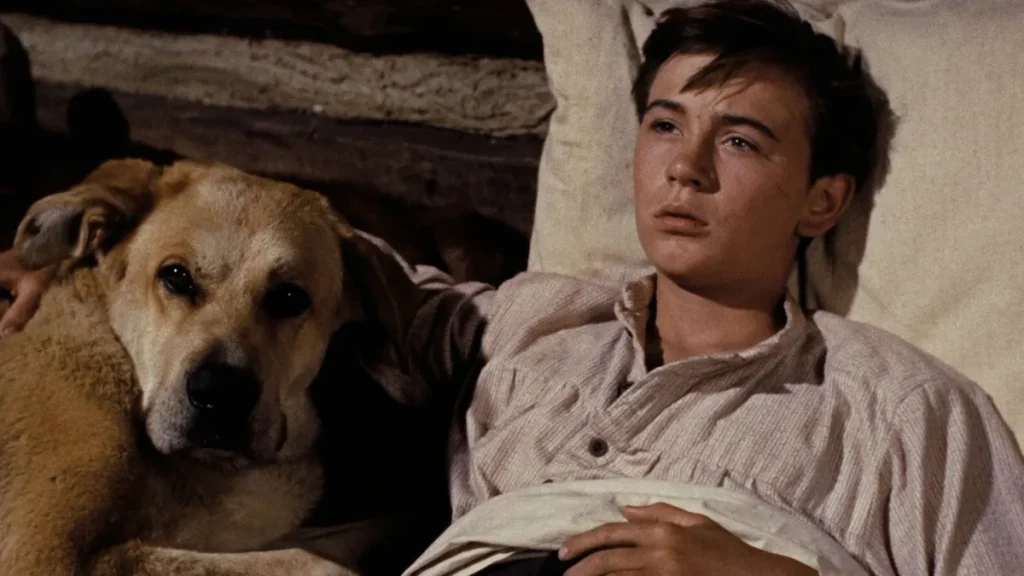 Imagen de Su Más Fiel Amigo - películas donde muere el perro