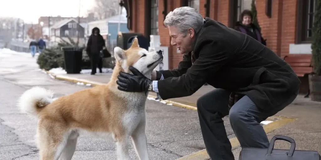Siempre a tu lado - películas donde muere el perro
