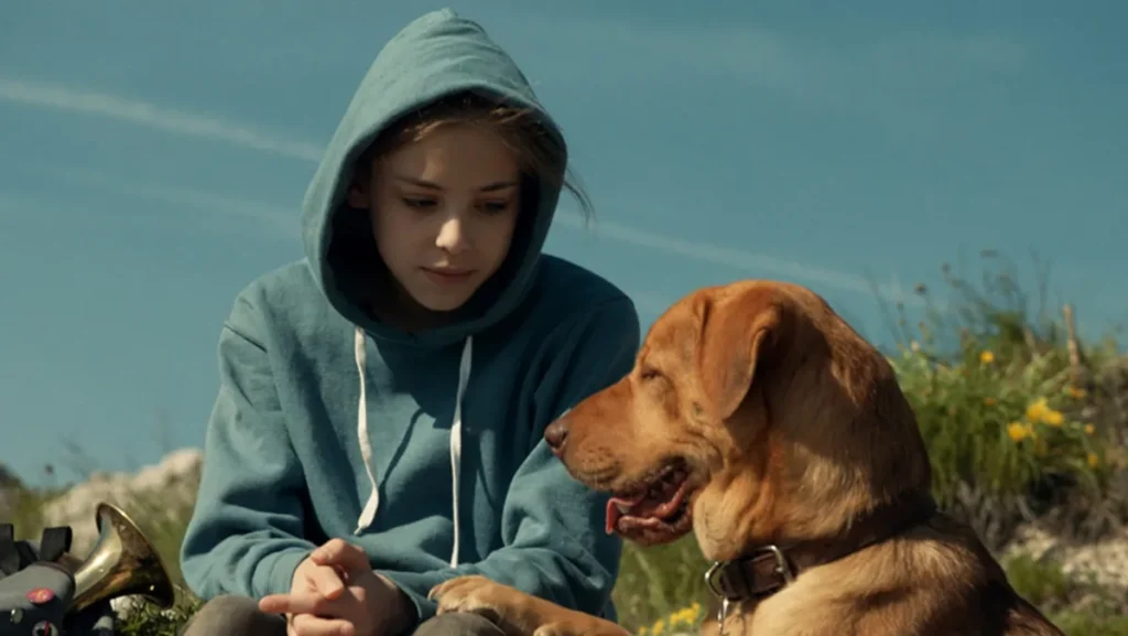 imagen de Dios Blanco - películas donde muere el perro